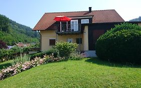 Ferienwohnung Lahr im Schwarzwald ,120 qm, sehr ruhig, nahe Europa Park Rust